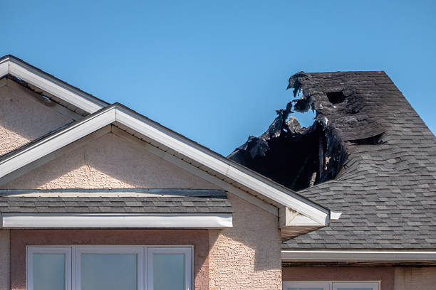 Top rated local Odor Removal specialists in Austin, MN